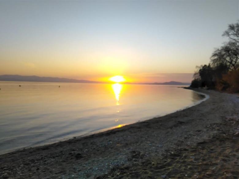 Willa Starfish Koropi Pelion Milies South Pelion Zewnętrze zdjęcie