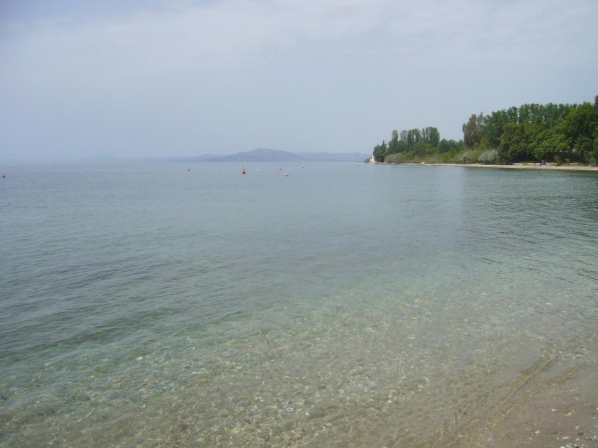 Willa Starfish Koropi Pelion Milies South Pelion Zewnętrze zdjęcie